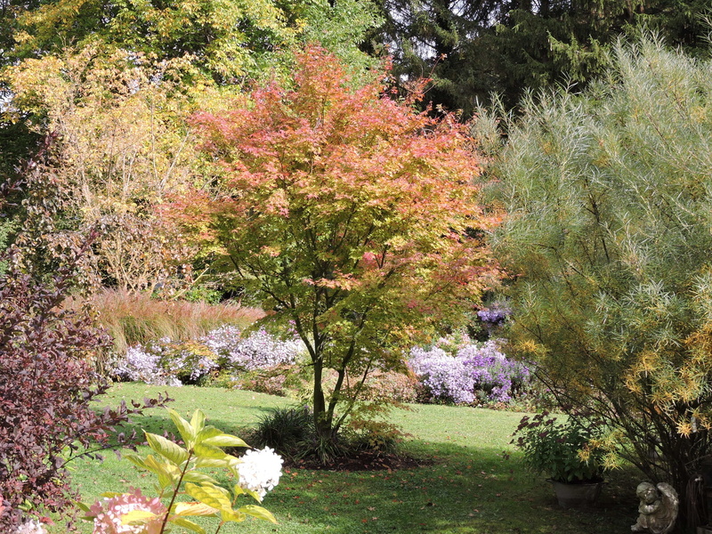 Jardin "Le Quenti"