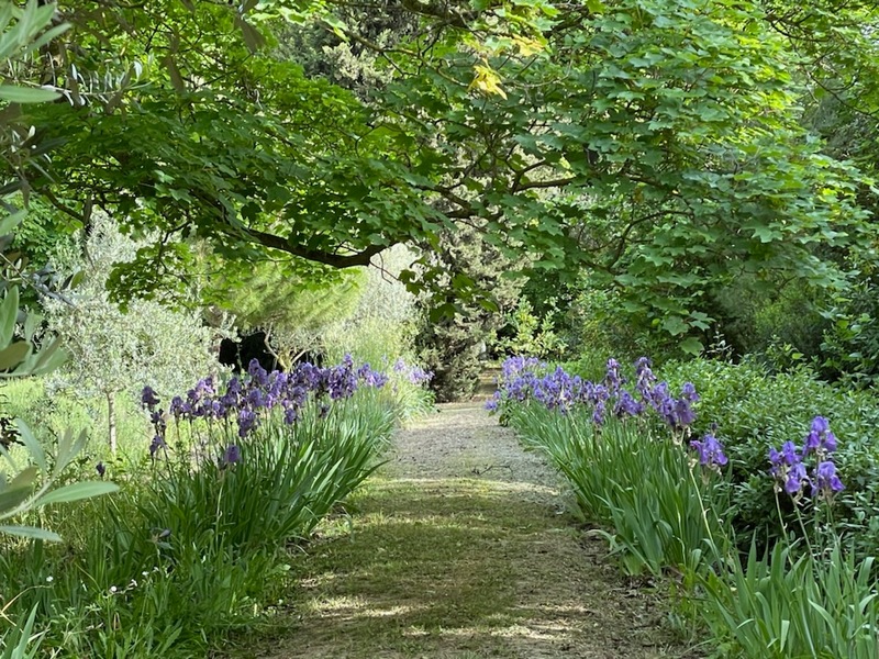 Parc du Domaine de Montlaur