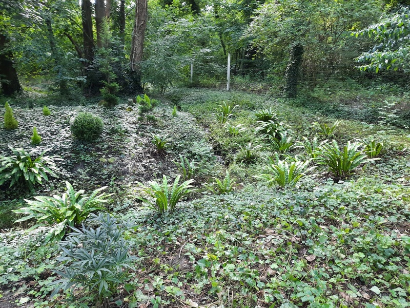 Le jardin au-delà de l'eau