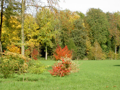 PARC ET JARDIN DE BOSMONT