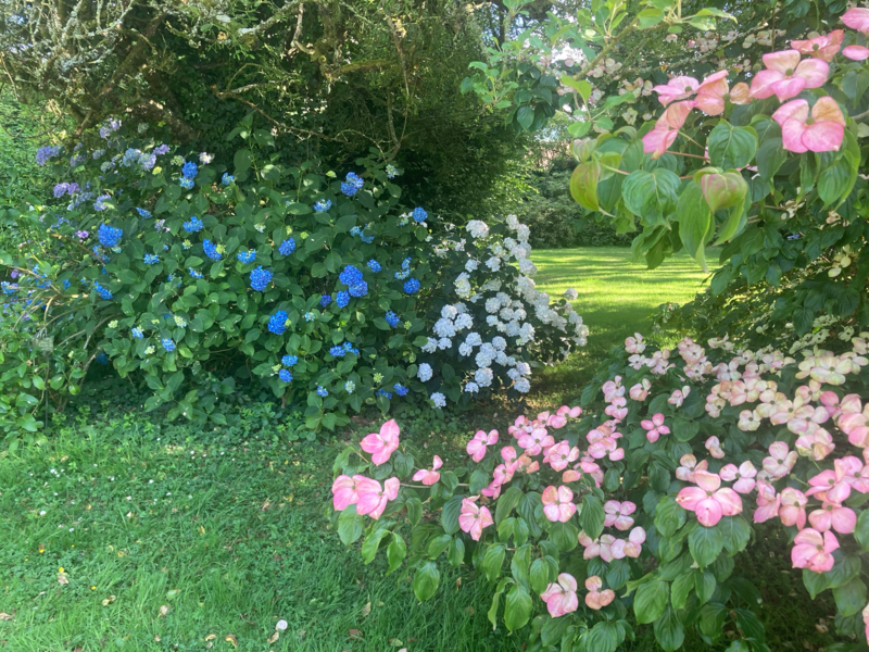 LE CLOS de CHANCHORE- Jardin Botanique