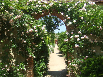 CHÂTEAU D'AINAY LE VIEIL