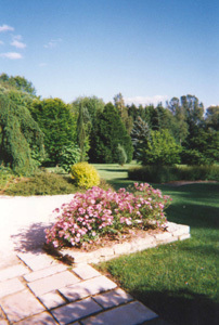 PARC DE L'ETANG