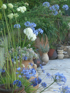 JARDIN DES FLEURS DE POTERIE