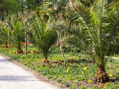 PARC FLORAL ET TROPICAL DE LA COURT D'ARON