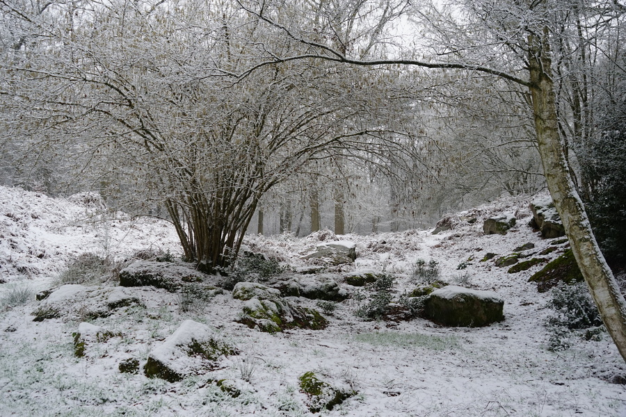 Parc Jean-Jacques Rousseau