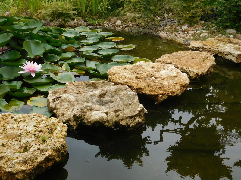 Le jardin où l'on s'attarde