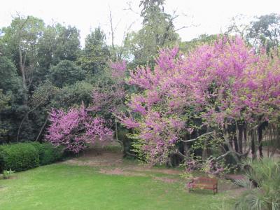 PARC ET JARDINS DU CHÂTEAU DE FLAUGERGUES