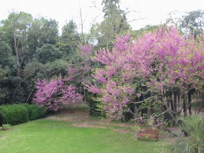 PARC ET JARDIN DU CHÂTEAU DE FLAUGERGUES