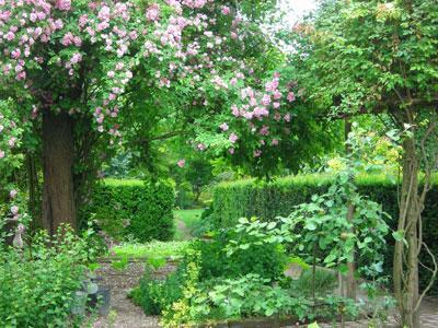 LE JARDIN DE MARGUERITE