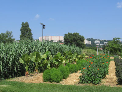 PARC DE GERLAND