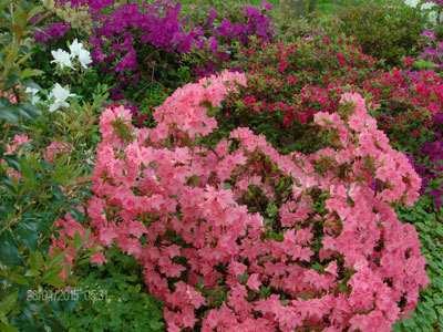 Les Jardins du Ventalon