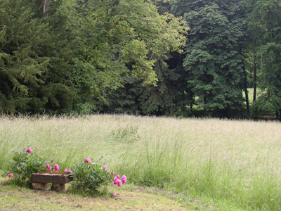 PARC DU PRIEURE DE CONS LA GRANDVILLE