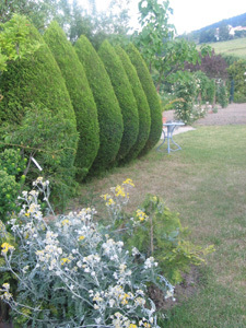 JARDIN BOTANIQUE DE SAINT CHAMOND