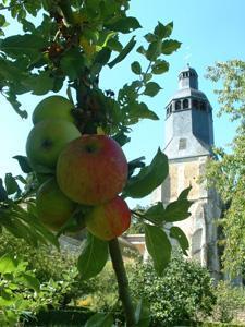 JARDINS THÉMATIQUES DE L'ABBAYE DE THIRON GARDAIS