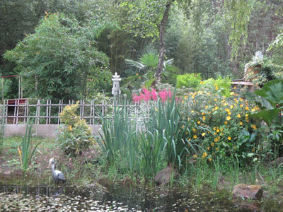 JARDIN DU BOIS FLEURI