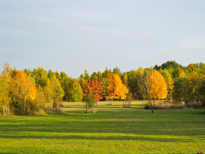 Parc Botanique de Breil de Foin