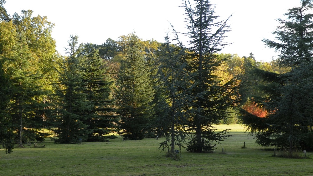 Arboretum de la Grande Lienne