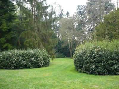 PARC LE VAULX SAINT GEORGES