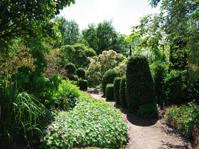 Jardin de Cistus