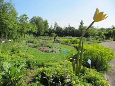 Jardin des plantes sauvages et Jardin des plantes médicinales