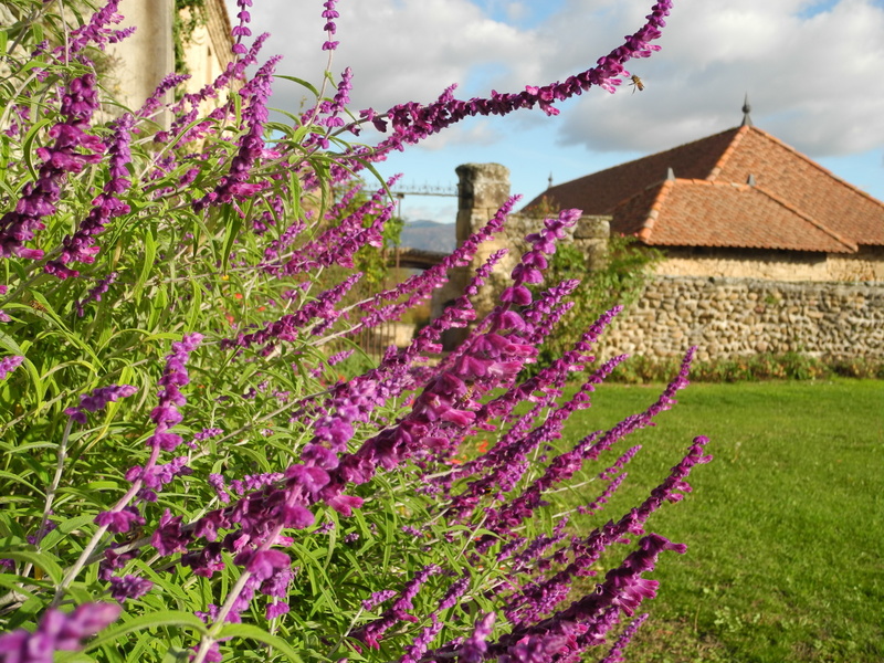 Jardins du château de l'Arthaudière