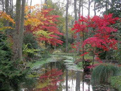 JARDIN ARBORETUM D'ILEX