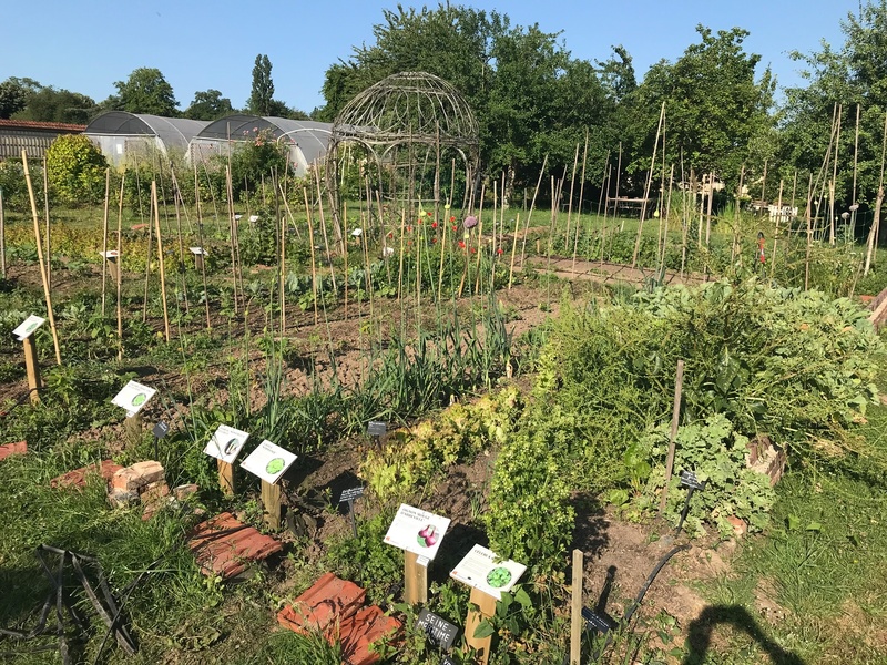 Jardin Potager du Domaine de Chambray