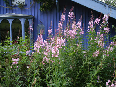 JARDIN DE BERCHIGRANGES