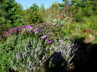 Le Jardin de Cassandra et sa Pépinière