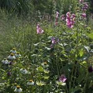 Les Jardins du Temps