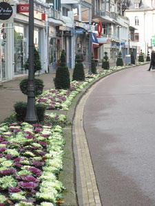 JARDIN DE LA MANCHE - Circuit de visite des jardins en ville