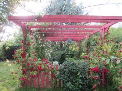 JARDIN LES COULEURS DU TEMPS