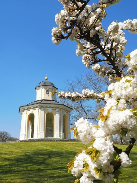 Parc floral d'Apremont