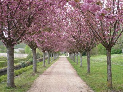 PARC ET CHÂTEAU DE BEAUREGARD