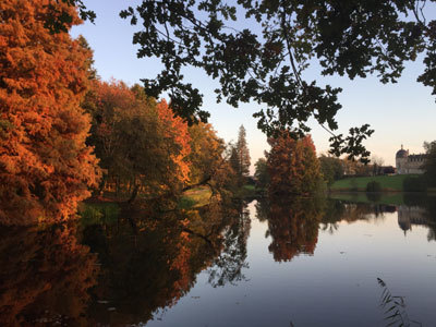 PARC ET JARDINS DU CHÂTEAU DE DIGOINE