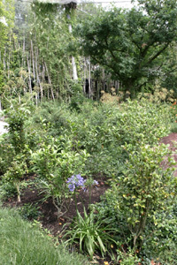 PARC LES OISEAUX