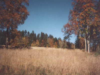 ARBORETUM DU LAVOT