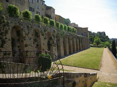 Terrasses du Jardin Neuf et Jardin Conservatoire des plantes tinctoriales
