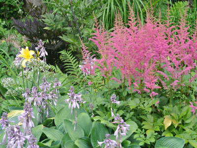 JARDIN DU MOULIN VENTIN