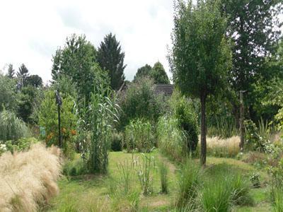 JARDIN PRIVE DES BAMBOUS