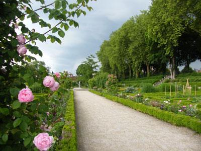 JARDIN DES PLANTES D'AMIENS