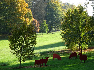 PARC ET JARDINS DU CHÂTEAU DU LUDE