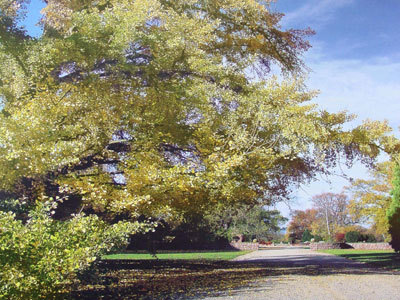 PARC DE SCHOPPENWIHR