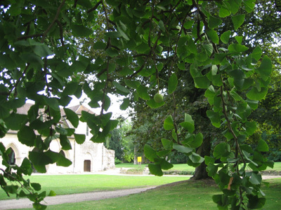 PARC DE L'ABBAYE DE MAUBUISSON