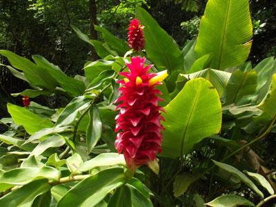 LE JARDINS DE BONNEVILLE