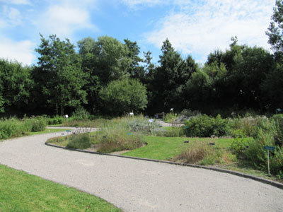 Jardin des plantes sauvages et Jardin des plantes médicinales