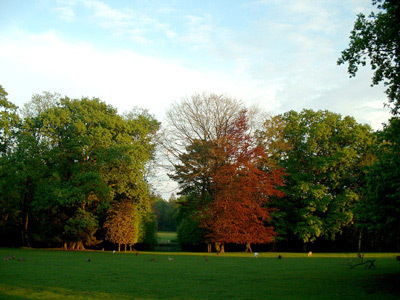 PARC ANIMALIER ET BOTANIQUE DE BRANFÉRÉ