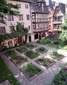 JARDINET GOTHIQUE DU MUSÉE DE L'OEUVRE NOTRE DAME