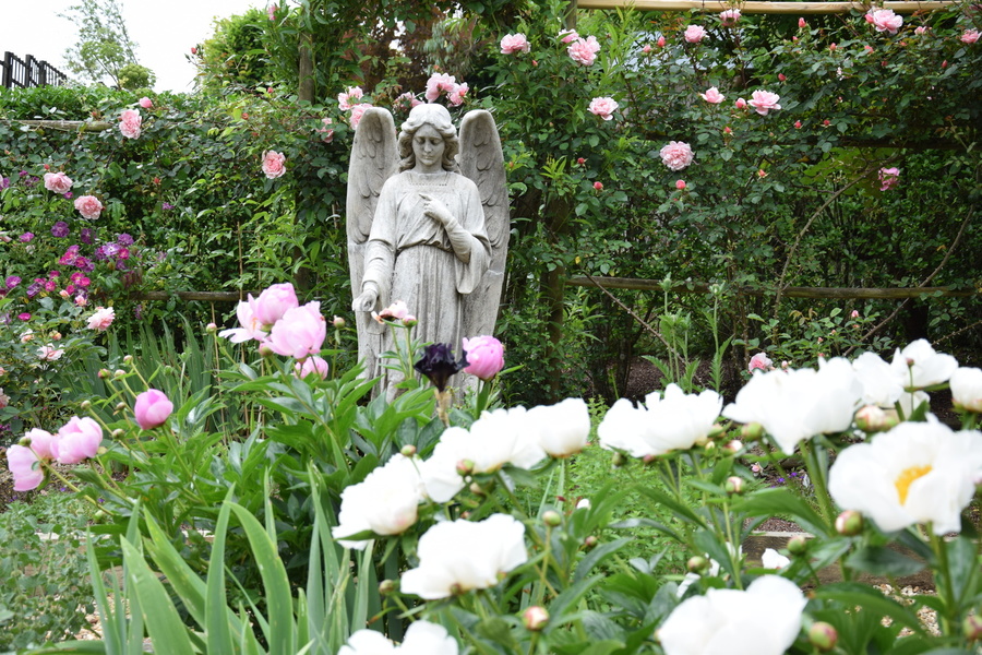 LES JARDINS DE LA MANSONIÈRE